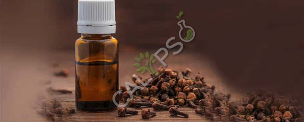 Clove olio essenziale Prezzo